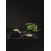 Варочная панель Falmec Quantum (600) CUZQ90.00P8#ZZZN460F