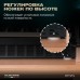 Винный шкаф Meyvel MV46PRO-KBT2 (Натуральный бук)