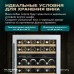 Винный шкаф Meyvel MV46PRO-KWT2