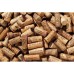 Винный шкаф Caso WineComfort 1800 Smart