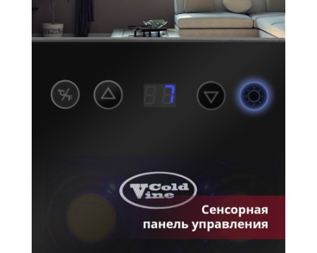 Винный шкаф Cold Vine C6-TBSF1