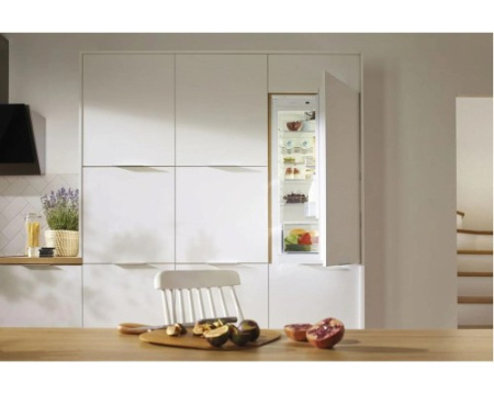Встраиваемый двухкамерный холодильник Gorenje NRKI 4182 E1
