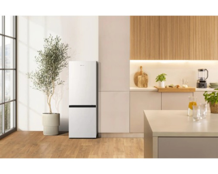 Двухкамерный холодильник Gorenje RK14F2W4