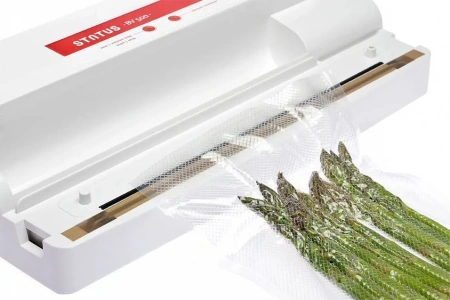 Вакуумный  упаковщик STATUS BV 500