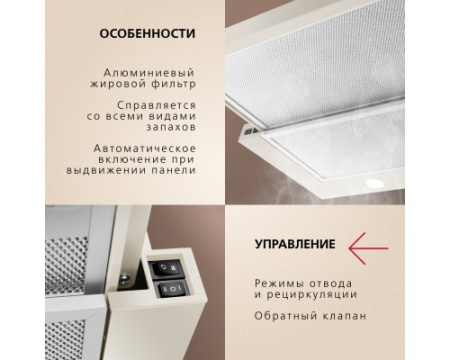 Телескопическая вытяжка Hansa OTP6242RIH
