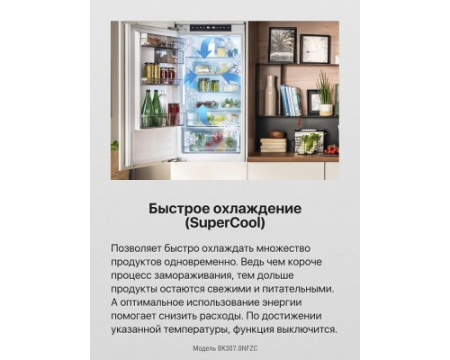 Встраиваемый холодильник Hansa BK307.0NFZC