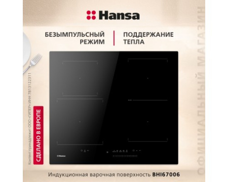 Индукционная панель Hansa BHI67006