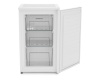 Морозильник Scandilux F 103 W