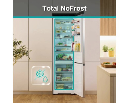 Двухкамерный холодильник Gorenje NRB620E61W4WFE