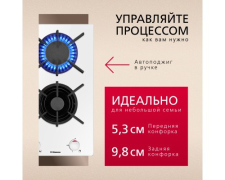 Газовая панель Hansa BHKW310300