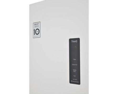 Однокамерный холодильник LG GC-F411EVDM