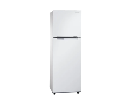 Холодильник Samsung RT25HAR4DWW