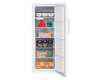 Морозильная камера Beko RFSK215T01W
