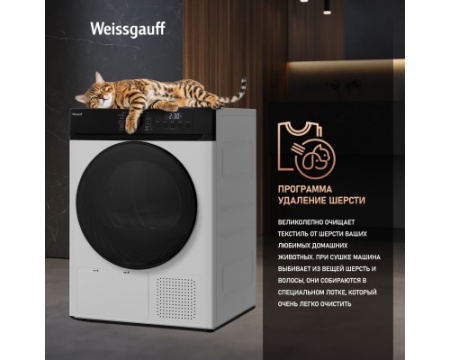 Сушильная машина Weissgauff WD 6010 Heat Pump