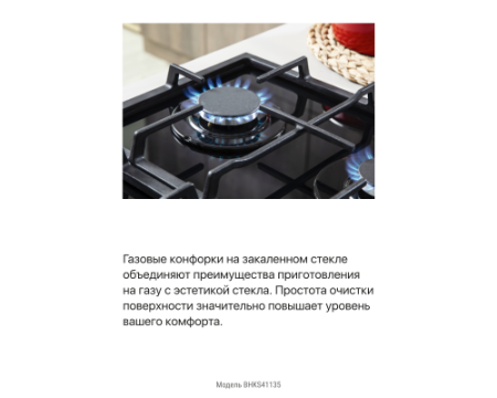 Газовая панель Hansa BHKS41135