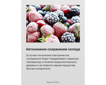 Встраиваемый холодильник Hansa UM1306.4