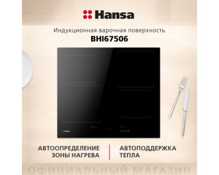 Индукционная панель Hansa BHI67506