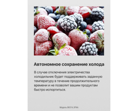 Встраиваемый холодильник Hansa BK316.3FNA