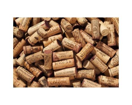 Винный шкаф Caso WineComfort 1800 Smart