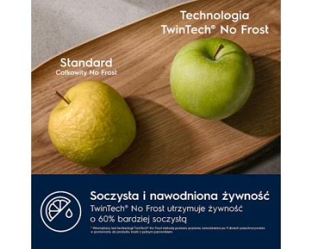 Встраиваемый холодильник Electrolux ENT6ME19S