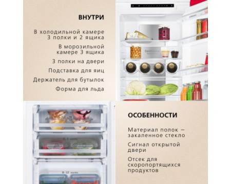 Встраиваемый холодильник Hansa BK305.0DFOC