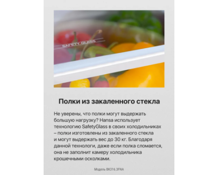 Встраиваемый холодильник Hansa BK316.3FNA