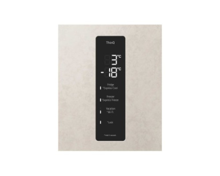Холодильник LG GC-B509FEMW