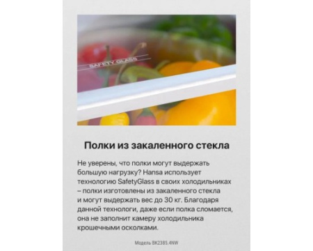 Встраиваемый холодильник Hansa BK2385.4NW
