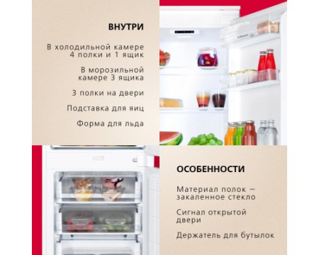 Встраиваемый холодильник Hansa BK306.0N