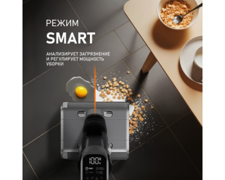 Вертикальный беспроводной пылесос сухой и влажной уборки (2 в 1) Weissgauff V22 BLDC 250 Graphite DoubleSide AquaPro SelfDry