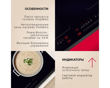 Индукционная панель Hansa BHI67116