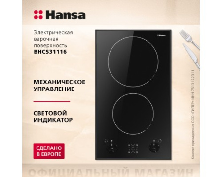Электрическая панель Hansa BHCS31116