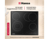 Электрическая панель Hansa BHC66906