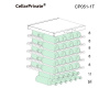 Винный шкаф Cellar Private CP051-1T
