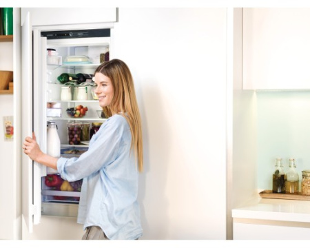 Встраиваемый двухкамерный холодильник Gorenje NRKI4182A1