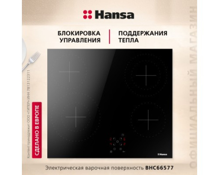 Электрическая панель Hansa BHC66577