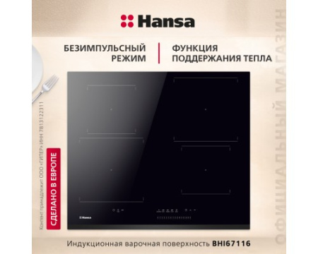 Индукционная панель Hansa BHI67116