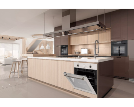 Многофункциональный электрический духовой шкаф DeLonghi CM 6 BA