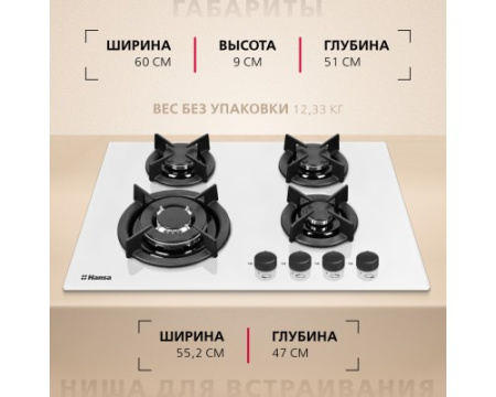 Газовая панель Hansa BHGW63111035