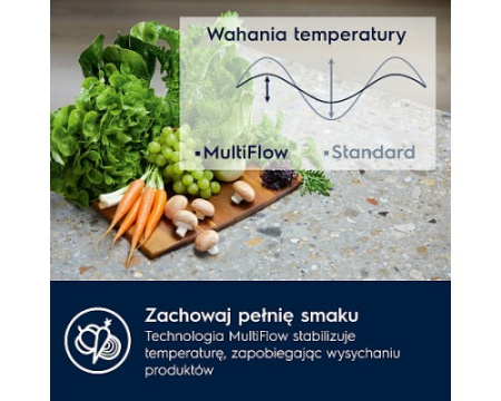 Встраиваемый холодильник Electrolux ENT6ME19S