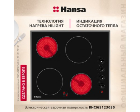 Электрическая панель Hansa BHCI65123030