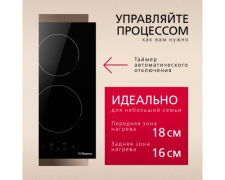Индукционная панель Hansa BHI36200