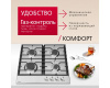 Газовая панель Hansa BHGI630301
