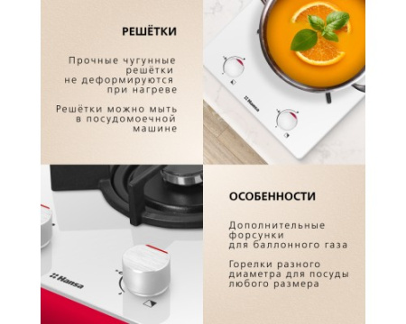 Газовая панель Hansa BHKW310300