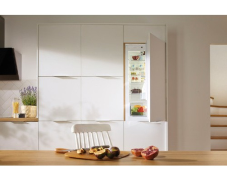 Встраиваемый двухкамерный холодильник Gorenje NRKI 2181 E1